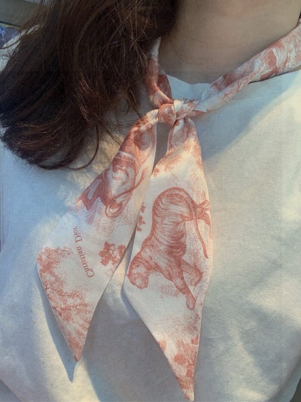 Dior Silk Scarf “Forest Beasts MITZAH” Ribbon - Picture 2 of 8